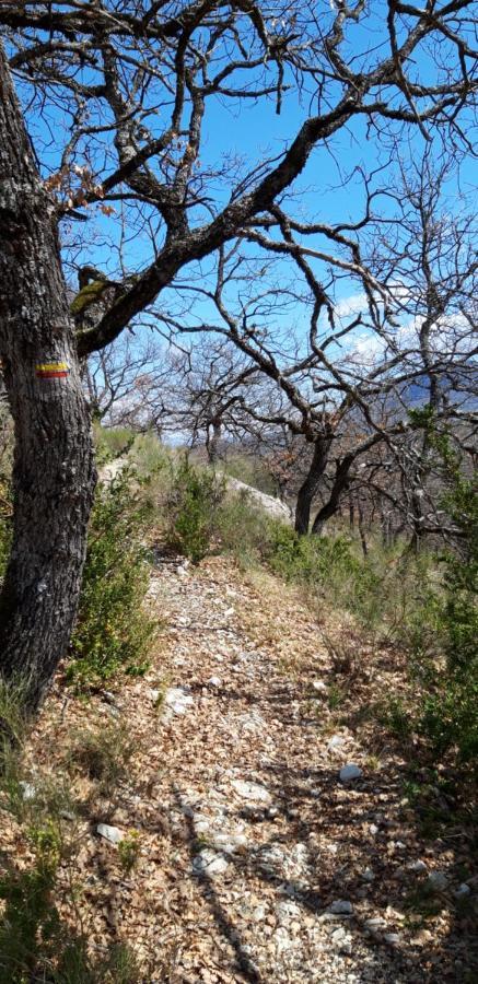 Gites Les Costoliers Châteauneuf-Miravail Exteriér fotografie