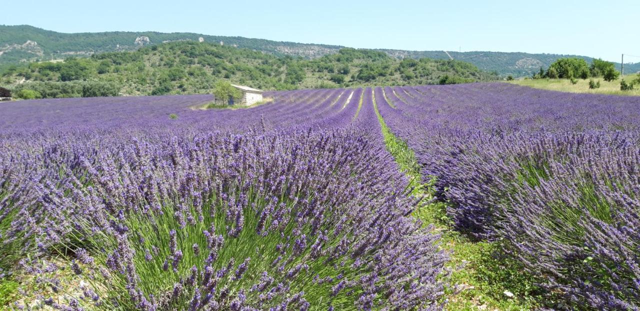 Gites Les Costoliers Châteauneuf-Miravail Exteriér fotografie